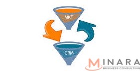 Phần mềm CRM có phải là phần mềm hỗ trợ Marketing?